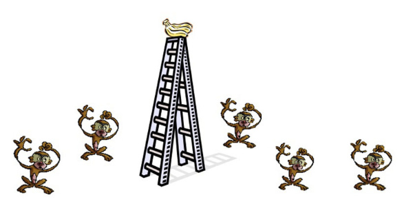افسانه آزمایش معروف پنج میمون و نردبان موز - فائز